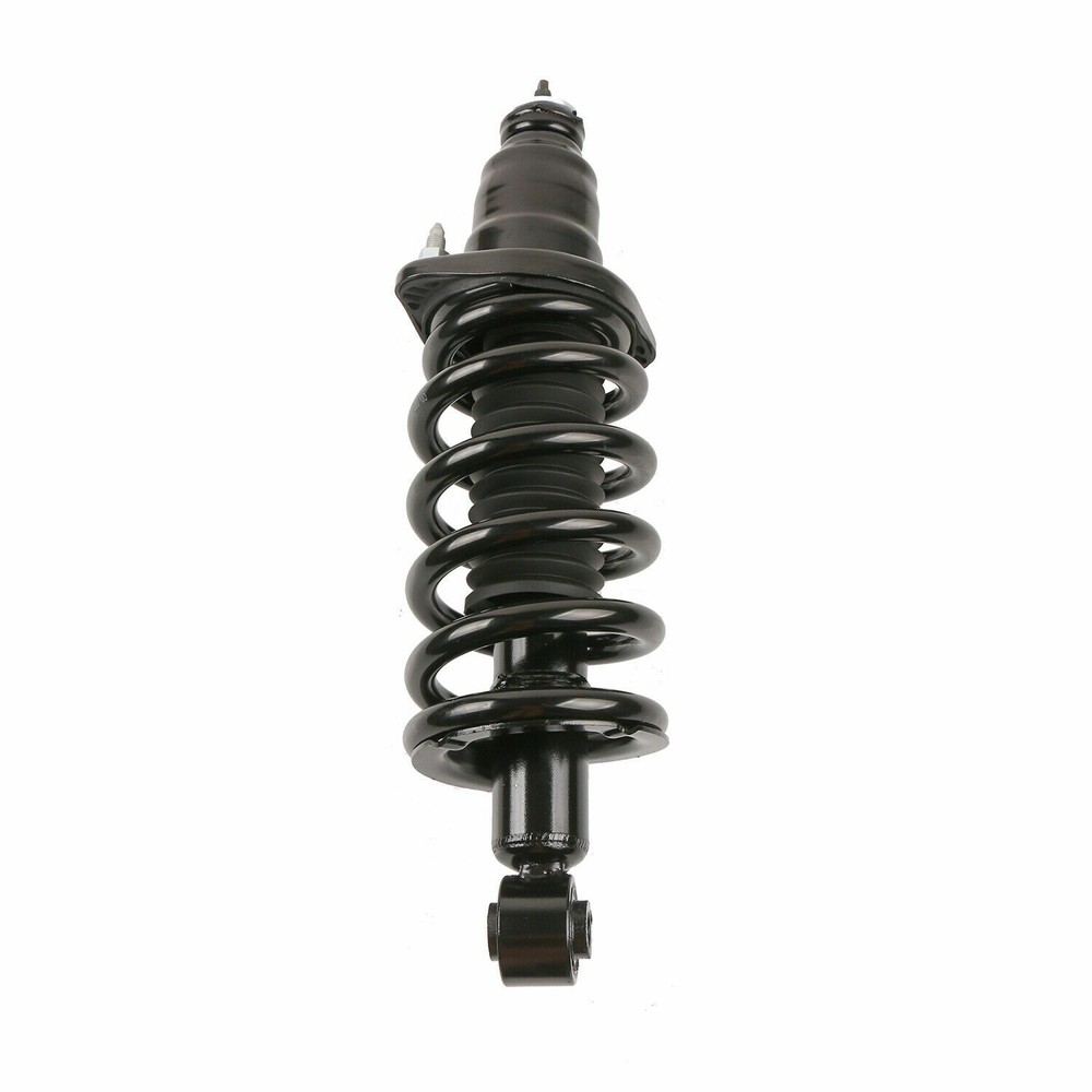 Pair Rear Complete Struts Shocks for 2003-2011 Honda Element 2.4L