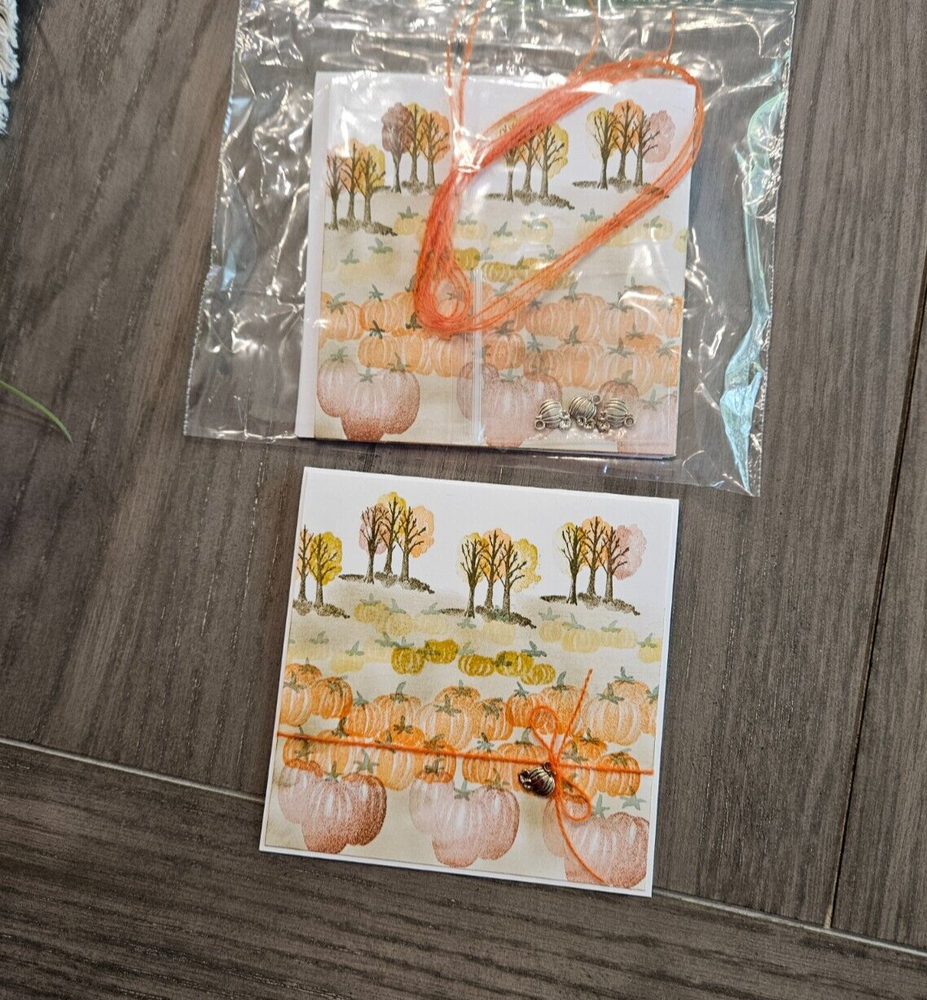 STAMPIN UP CARD KIT - PUMPKIN PATCH Makes 4-Set #FA.141