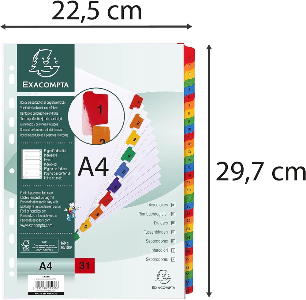 Exacompta - Ref 1131E - Printed Indices - Suitable for A4 Documents, Pre-Punched