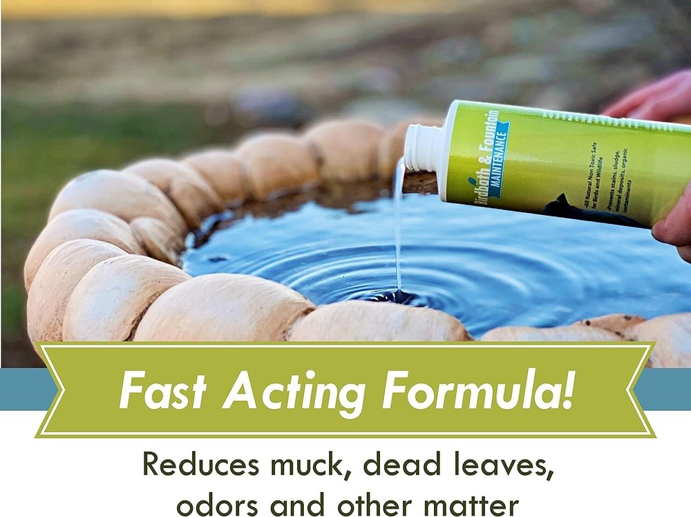 Birdbath and fountain Maintenance