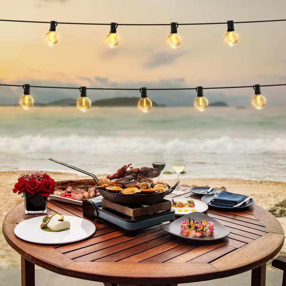 12 Light 24 Ft. Indoor/Outdoor Plug-In LED Edison Style String-Light