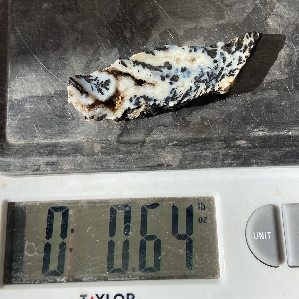 Medicine Bow Dendritic Agate Rough Slab