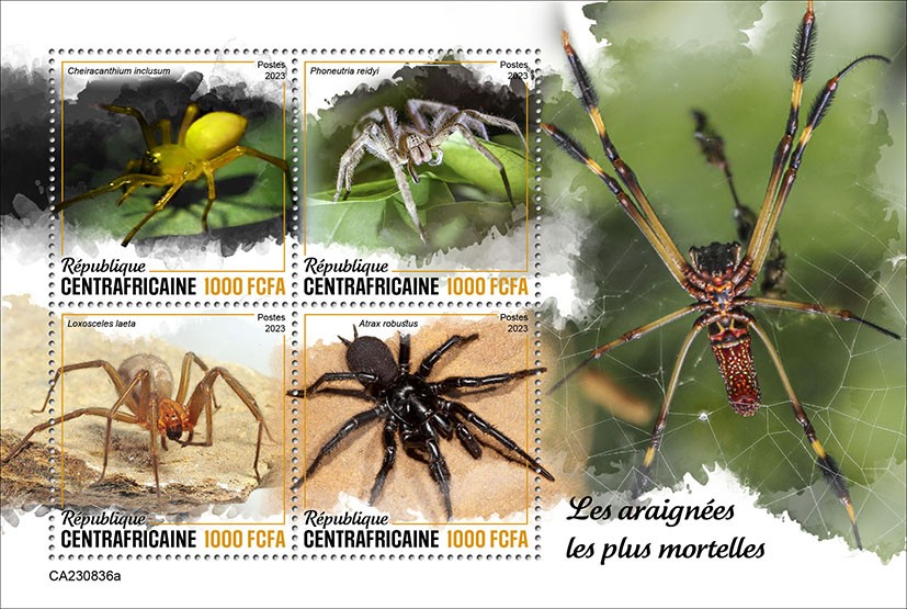 Deadliest spiders