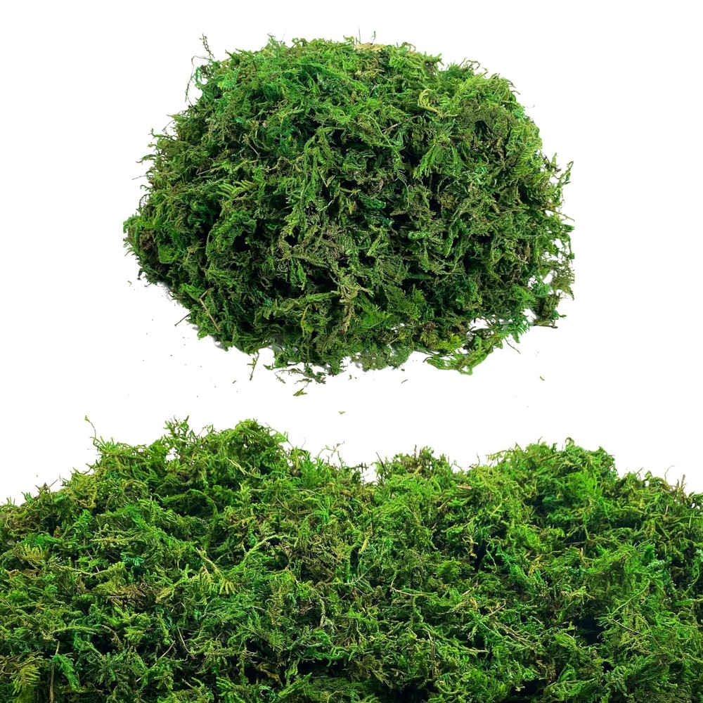 Green Moss for Crafts Artificial Decorative Potted 100g,