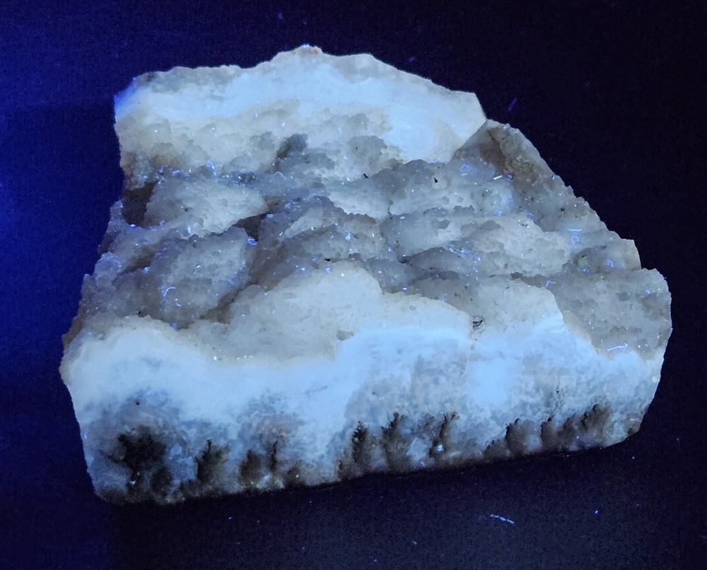 Polished Plume Agate Rough Display Specimen 429 Grams