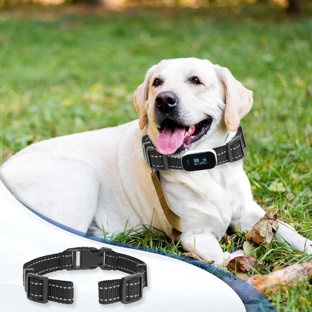 Adjustable 8-28" Reflective Dog Shock Collar Replacement Strap for All Breeds
