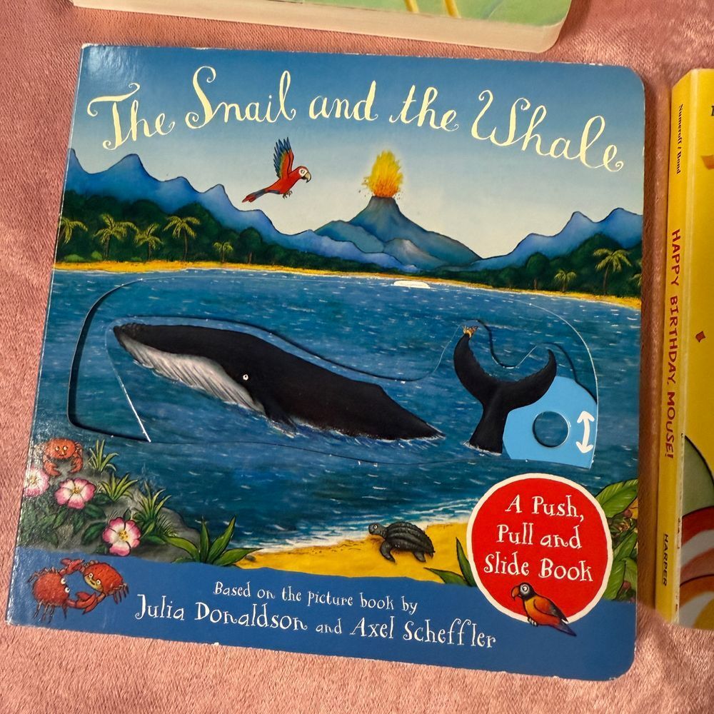 Bundle of 4 Board Books