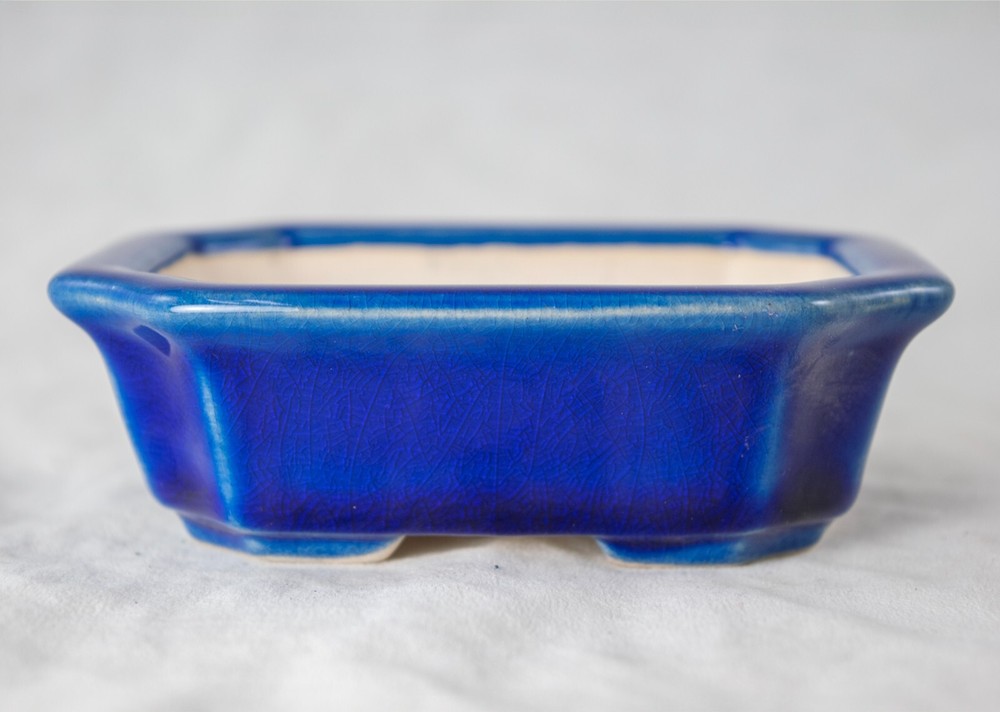Fine Rectangular Cactus & Succulent, Mame Bonsai Pot + Mesh 4.25"x 3.5"x 1.25"