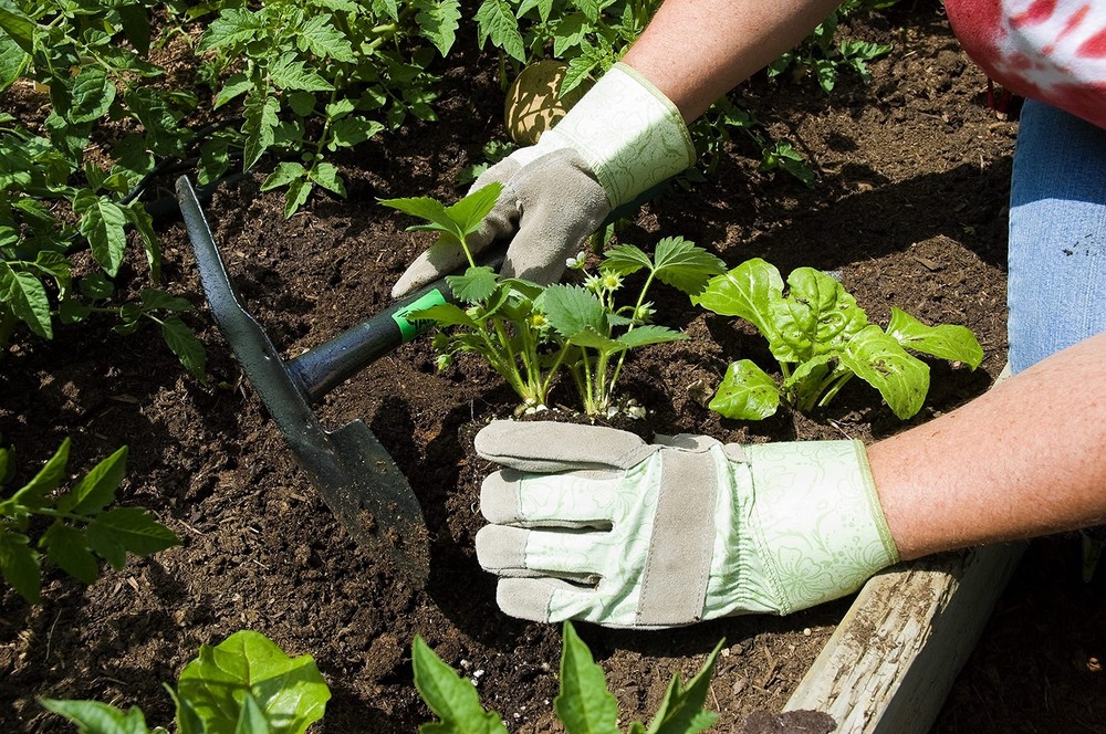 Yard Butler - Terra Planter