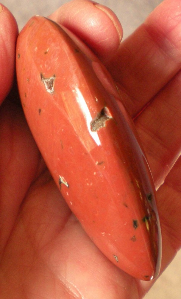 Ocean Jasper Palm Stone sc687x