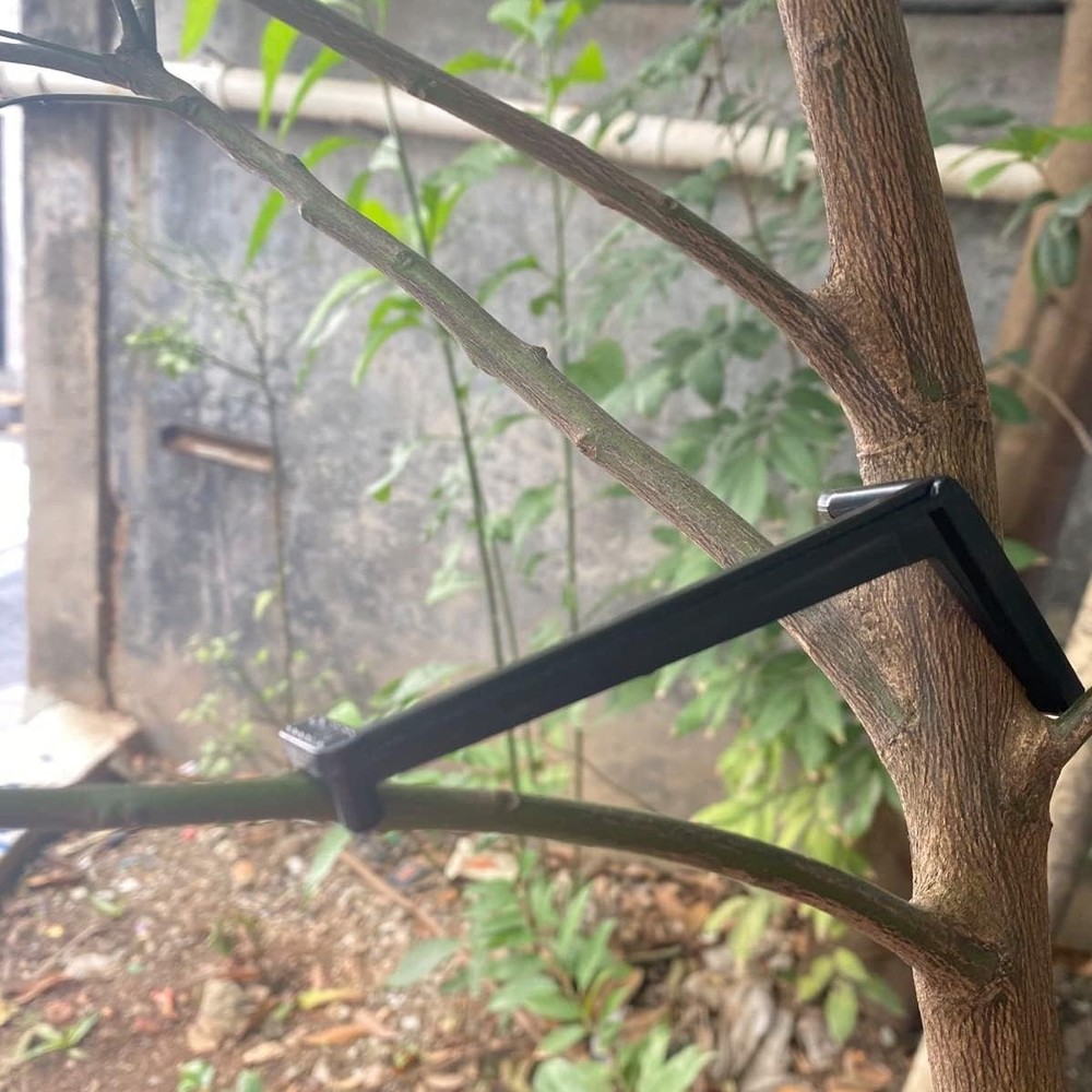 50Pieces Fruit Tree Branch Limb Spreader for Strong Spreading Crotch Angles B...