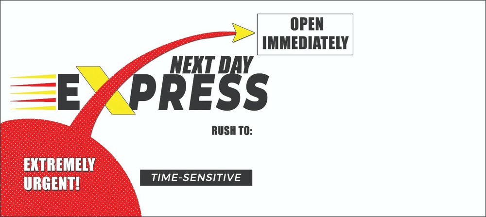 Next Day Express #10 Peel-n-Seal Security Envelopes