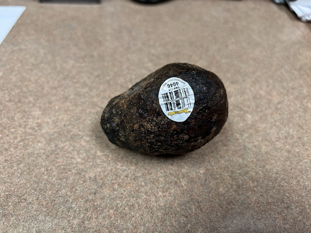 Avocado Stone