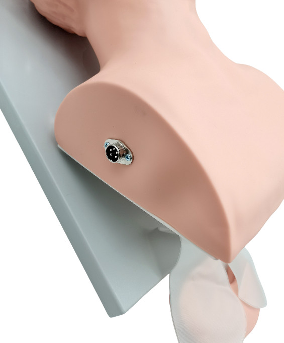 Intubation Manikin Study Teaching Model Airway Management Trainer W/Electronic