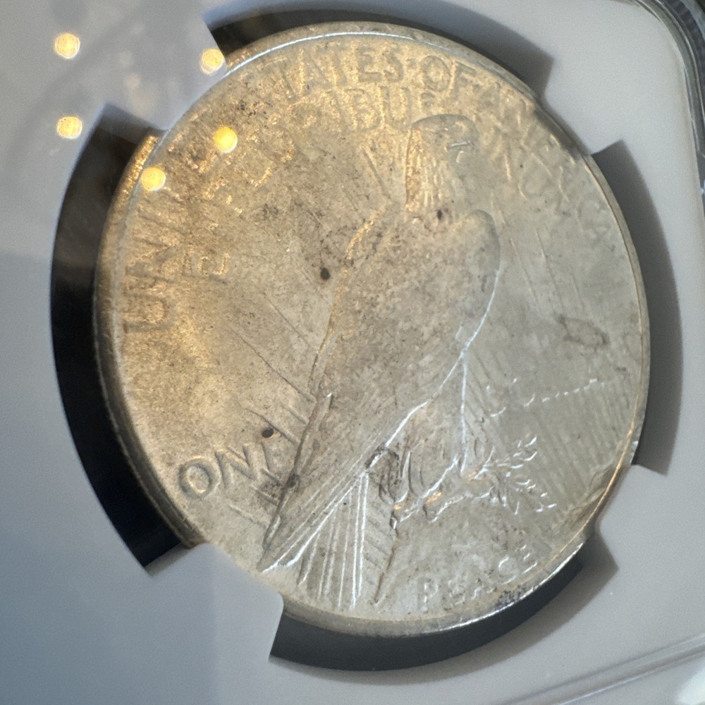 Peace Silver Dollar 1925 - 90% Silver Verified - NGC MS64
