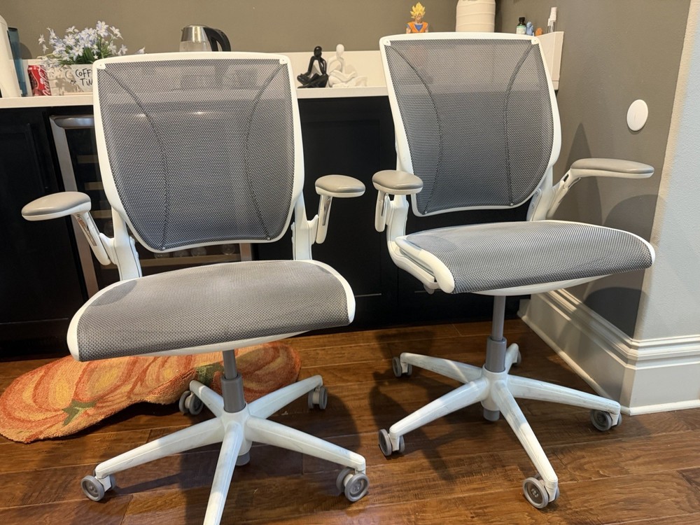 Humanscale Diffrient World Chair White mesh