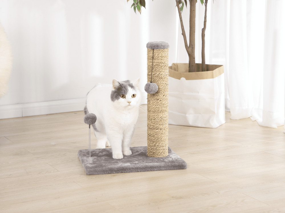 Small Seagrass Scratch and Play Post, Gray, 20"