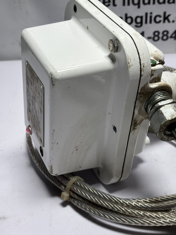 Bindicator RF82L5G1N-T RF Series Level Cable Probe Radio Frequency