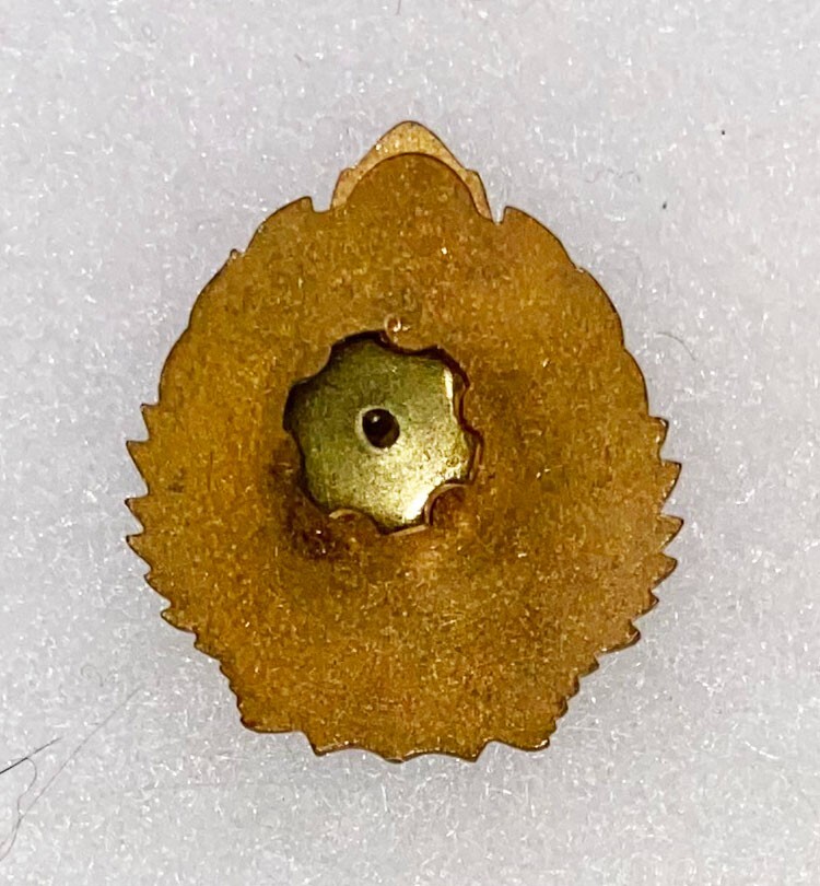 Romanian Aviation Pocket Badge