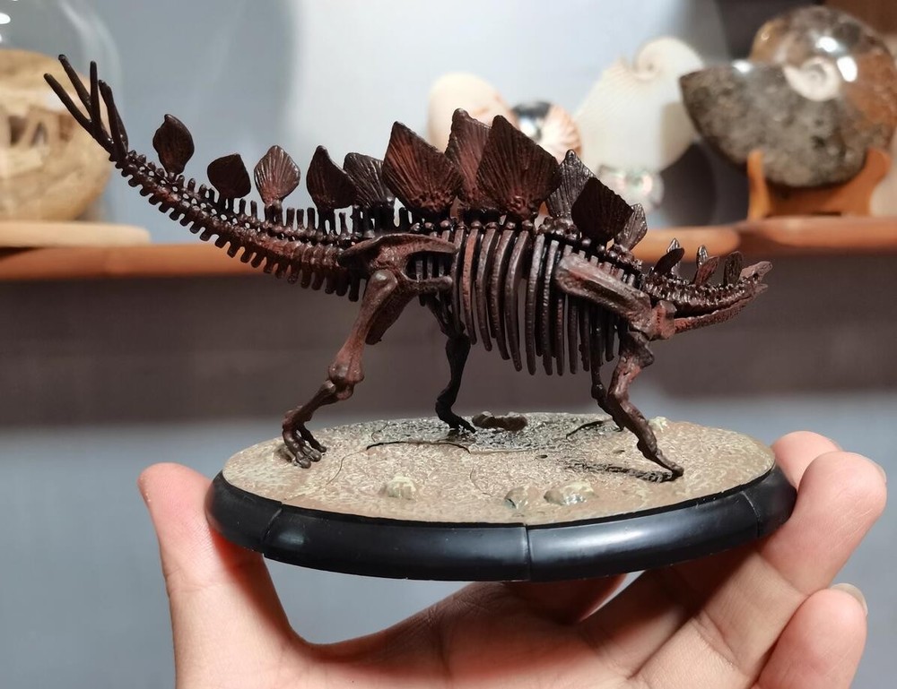 Stegosaurus Skeleton Model Dinosaur Model Statue Display Animal Model