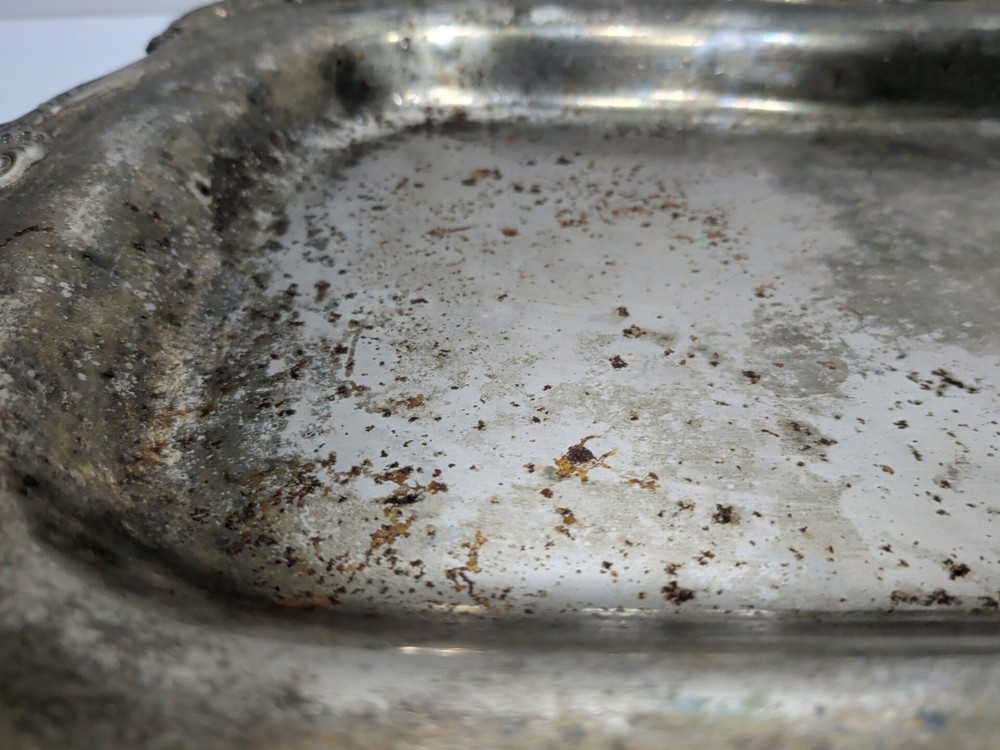 ✨VINTAGE✨ Silverplate Raised Scroll Design Raised Tray Platter
