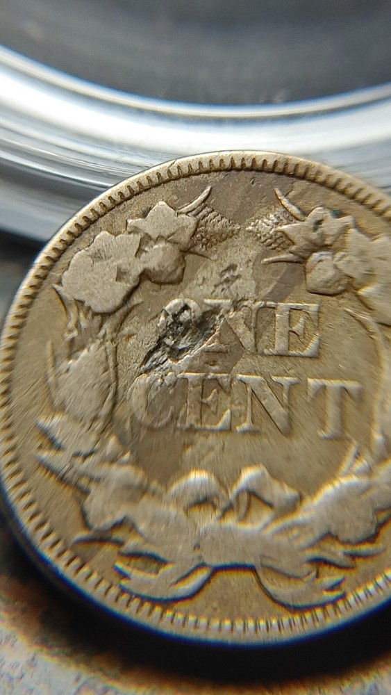 1857 Flying Eagle Cent Fine Improper Alloy Mix and Lamination Mint Error W111