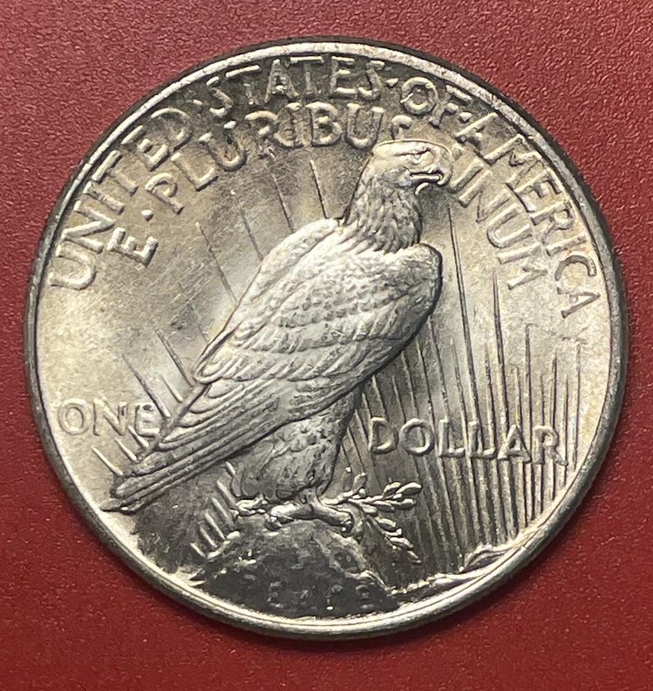 1925 P Peace Silver Dollar, Choice to Gem Uncirculated.