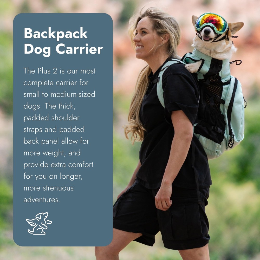 Plus 2 - Small, Light Grey - Ideal for Dogs 13-16” Long - Adjustable, Backpac...