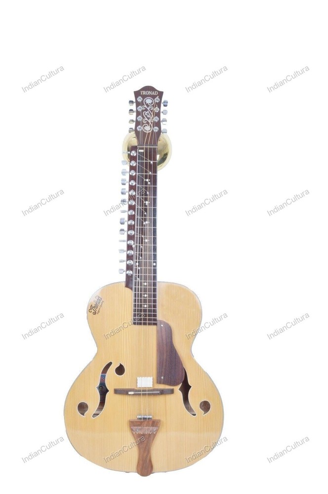 CUSTOM MOHAN VEENA GREAT SIDE WEISSENBORN STYLE MAX STRING PRESSURE