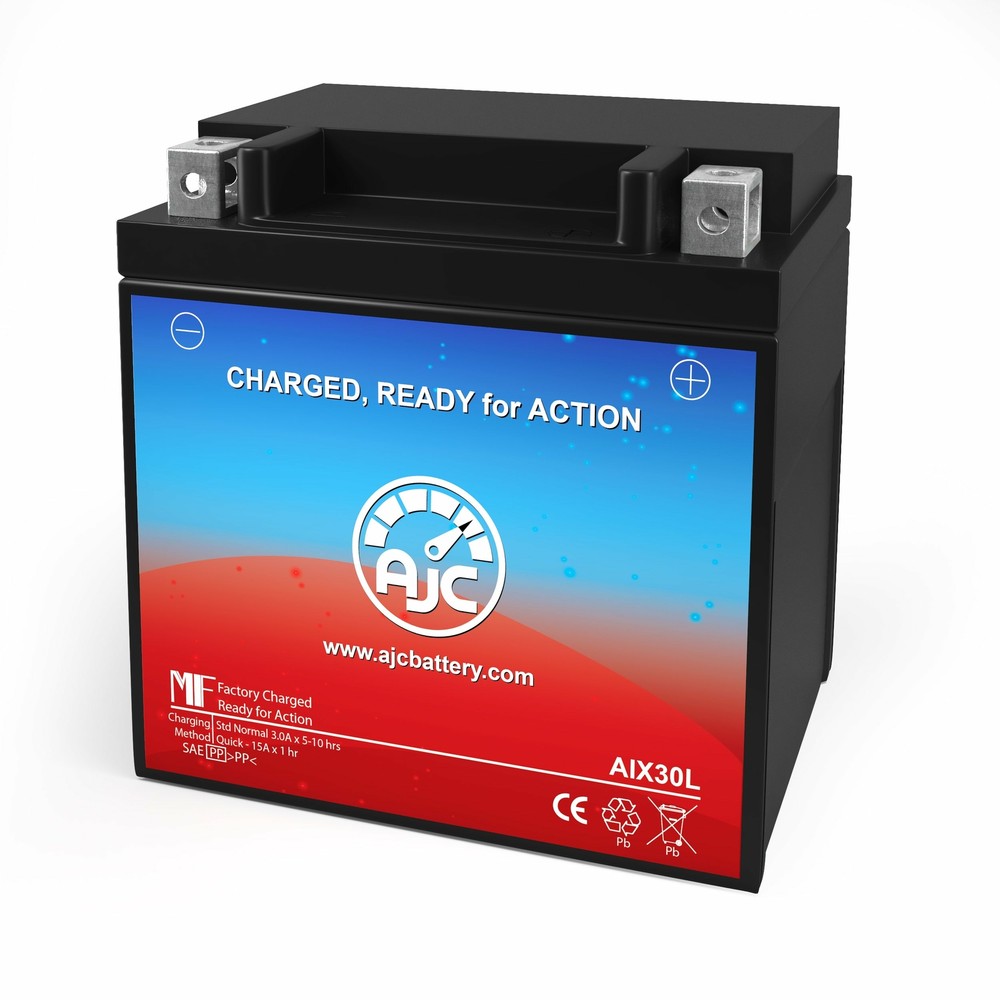 Polaris Ranger XP 700CC UTV Replacement Battery (2005-2009)
