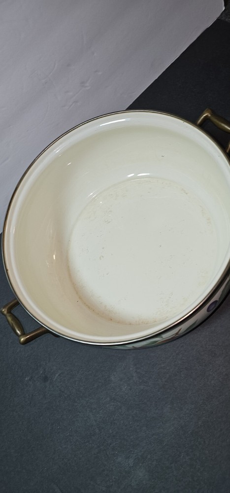 Vintage Regency Spring Fruit 4.5 Quart Dutch Oven