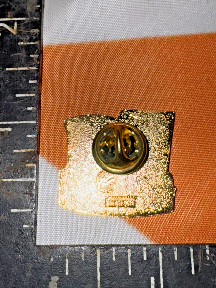 Local 303 Vicksburg Pin