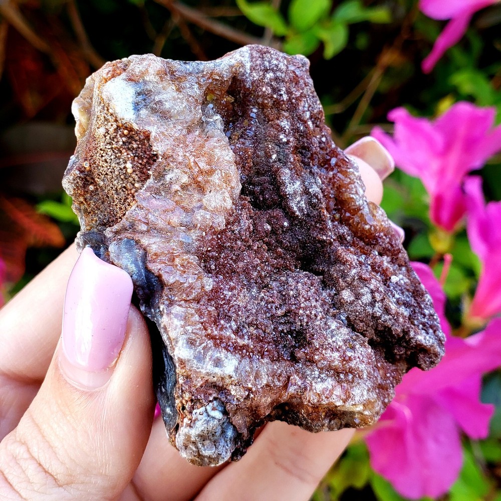 Fossilized Agate shell Cluster druzy natural crystal healing gemstone - #13A