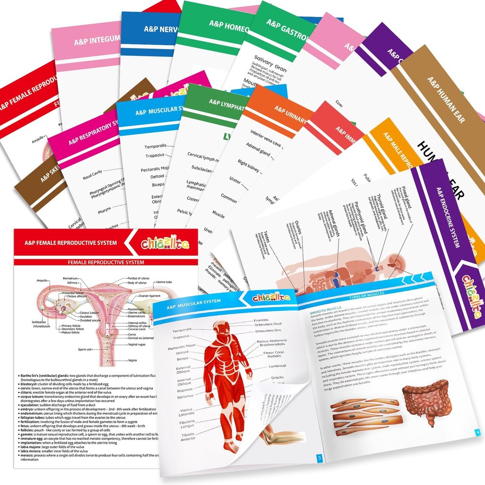 16 Pack Anatomy & Physiology Study Guides Set Human Body Systems Anatomy Stud...