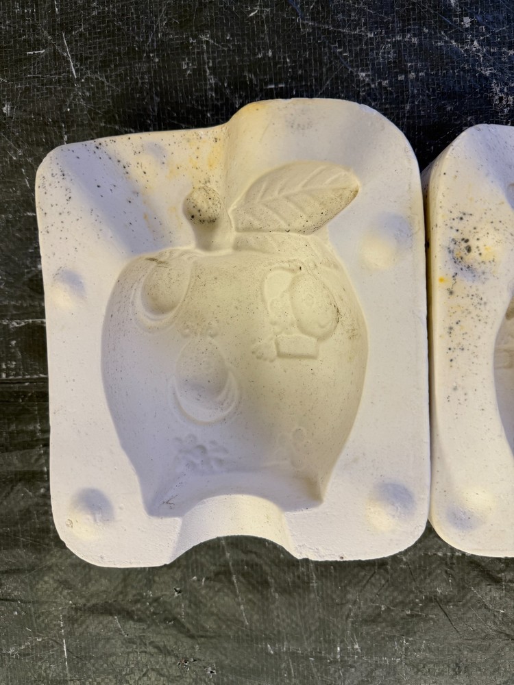VINTAGE EVERGREEN CERAMIC MOLD #255 APPLE/WORMS