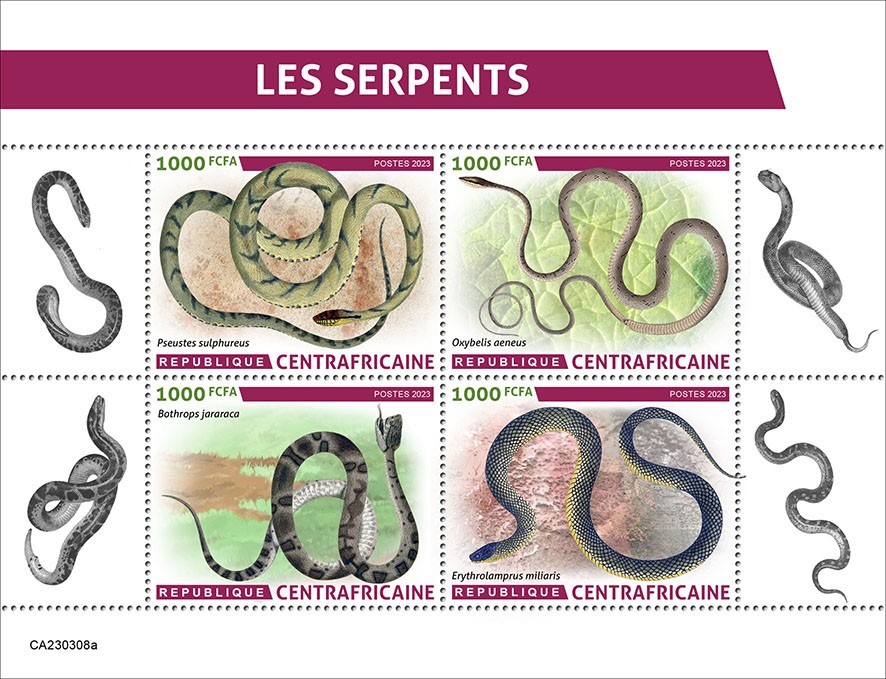 Snakes