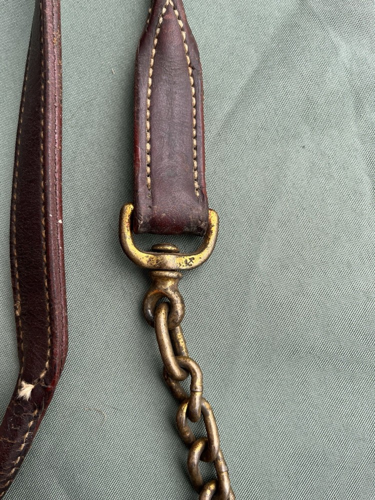 Supple Leather Halter With Chain Lead