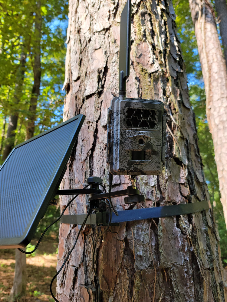 Dual Arm Trail Camera Mount Ratchet Strap