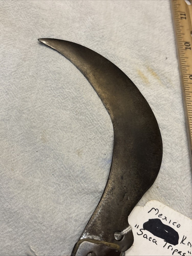Vintage Mexico Knife Folding Saca Tripas Single Blade Horn Handle. Nice &Sharp