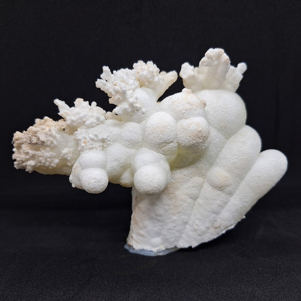 Aragonite