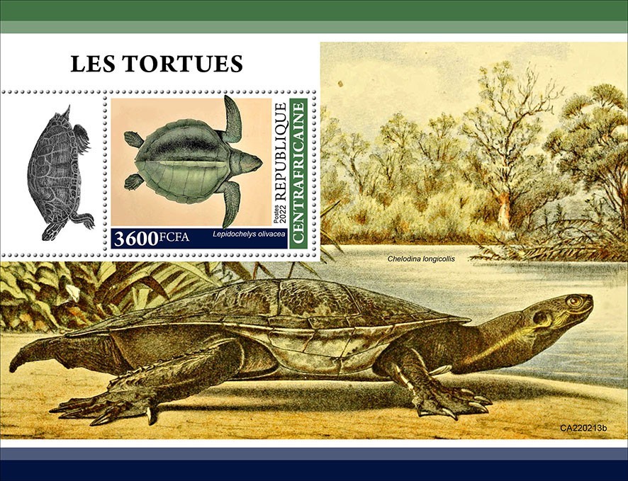 Turtles