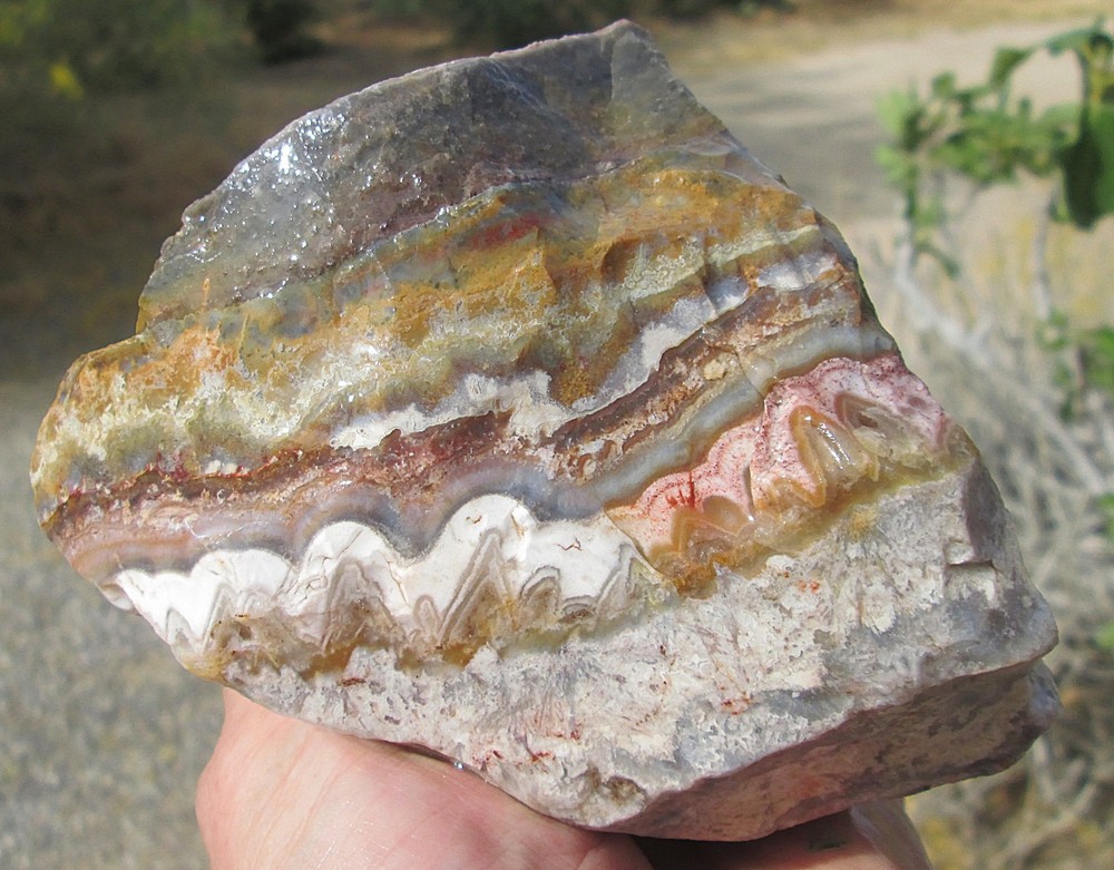 CRAZY LACE AGATE ROUGH ~ 3 lbs 13 ozs