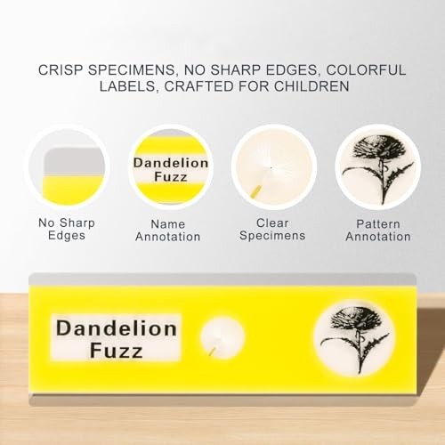 Prepared Microscope Slides Set