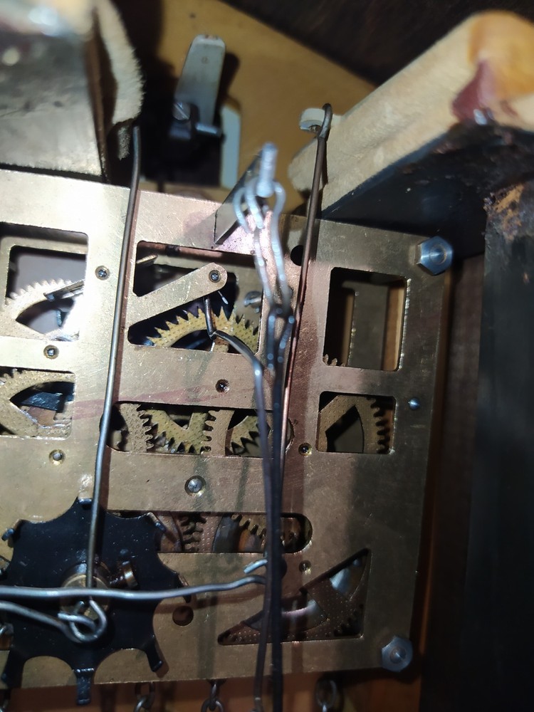Vintage cuckoo clock Working video.