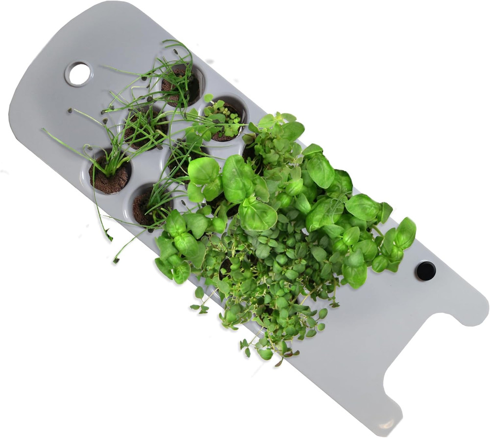 Seed Starting System Sprout - Start up to 15 Seedlings
