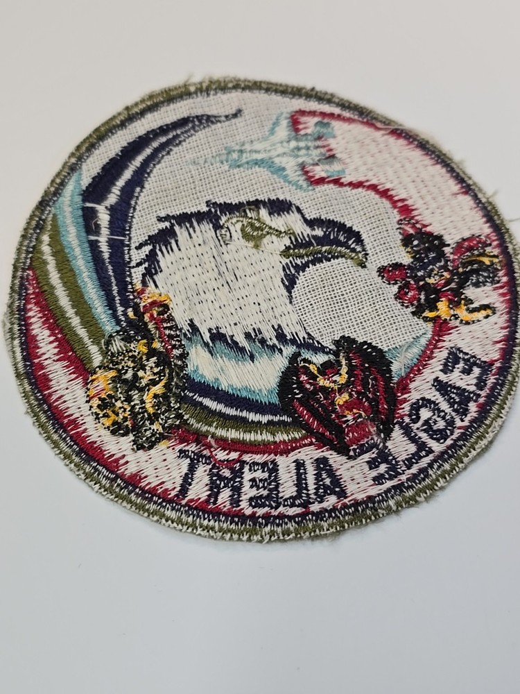 US Air Force Eagle Alert Patch