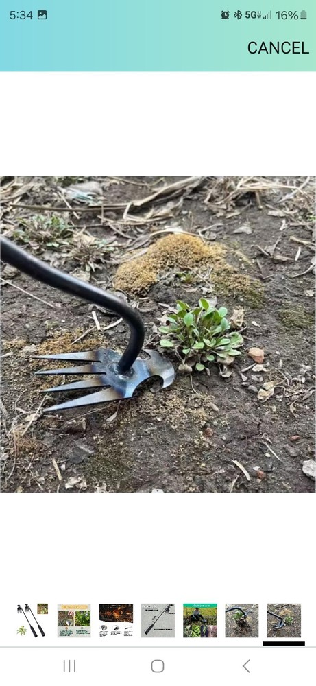 2 Weed Puller Tool Garden Pulling Portable Weeder Uprooting 4 Teeth Planting
