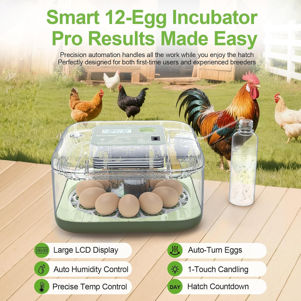 Incubators for Hatching Eggs, 12 Eggs Capacity, Egg Incubator with Automatic Egg