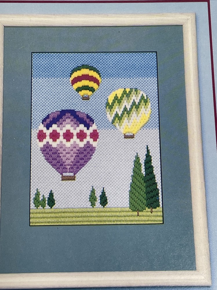 ASN First Steps In Needlepoint A Beginner's Guide To Canvas Work Paperback