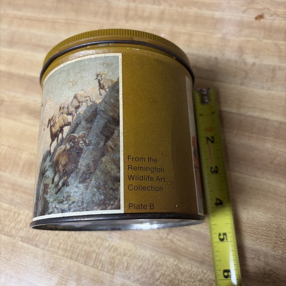 Empty Remington .22 Five Pounder Vintage Tin